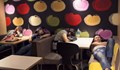 Защо стотици граждани на Хонконг нощуват редовно в McDonald's?