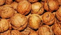 Деца задигнаха 300 килограма орехи