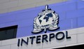Интерпол издирва Малката Бирма