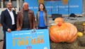 260-килограмова тиква рекордьор "грабна" 1000 лева награда