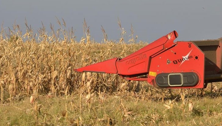 Национална агенция за приходите провежда и в момента информационна кампания към всички земеделски производители, които са допуснали неточности в данъчните си документи