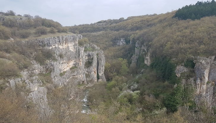 Младежът е загинал на място и дошлите медици и полицаи просто са констатирали смъртта му