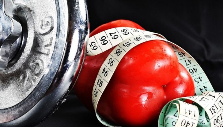 Какво установили учените след края на изследването? Какво установили учените след края на изследването?