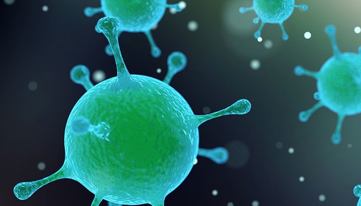 Вирусът не поврежда здравите тъкани и гена ANTXR2, който се намира в тях
