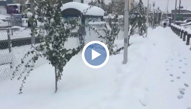 Силен сняг затрупа канадския град Калгари