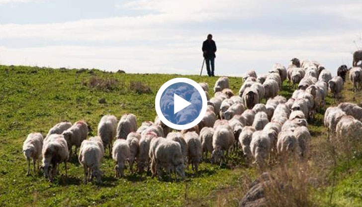 Ние не сме чиновници, чиновниците вече не носят тетрадки, щракат по клавишите на компютъра, а ние да носим тетрадки - не иде!