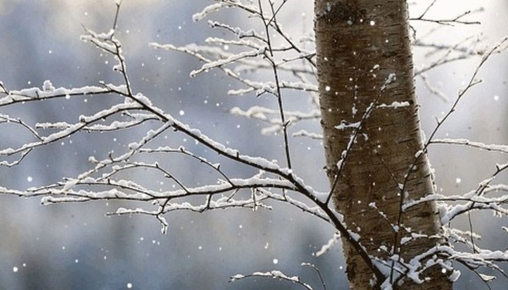 Жълт код за силен вятър в 14 области