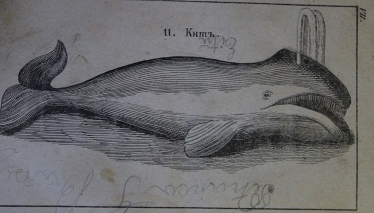 Старопечатни, редки и ценни издания са изложени в Регионалната библиотека „Любен Каравелов“