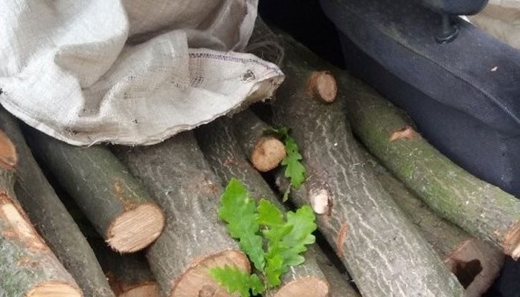 Той извозвал дървесината с лек автомобил ВАЗ