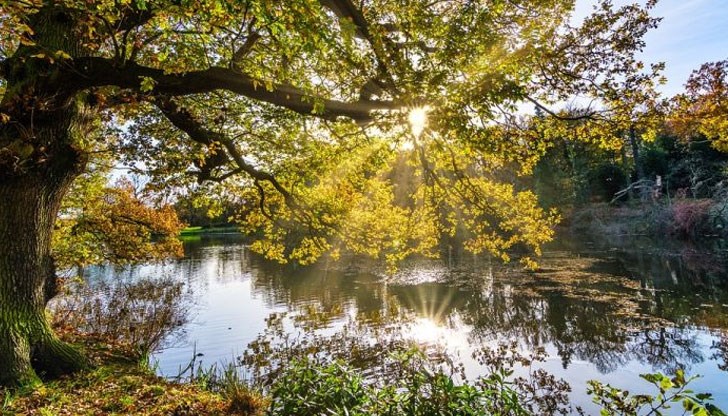 Сутринта на места в низините и котловините ще се образува ниска слоеста облачност или мъгла