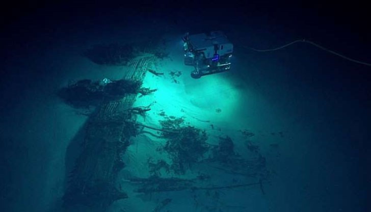 Откриха огромни подводни вулкани, около които гъмжи от морски живот