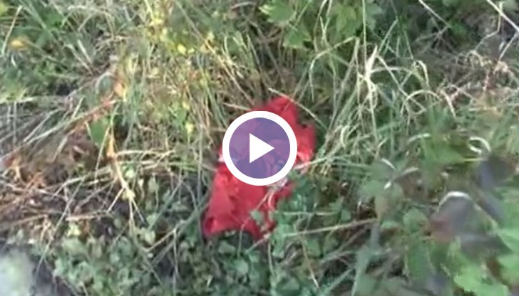 Криминалистите останали изненадани от находката на репортери на bTV