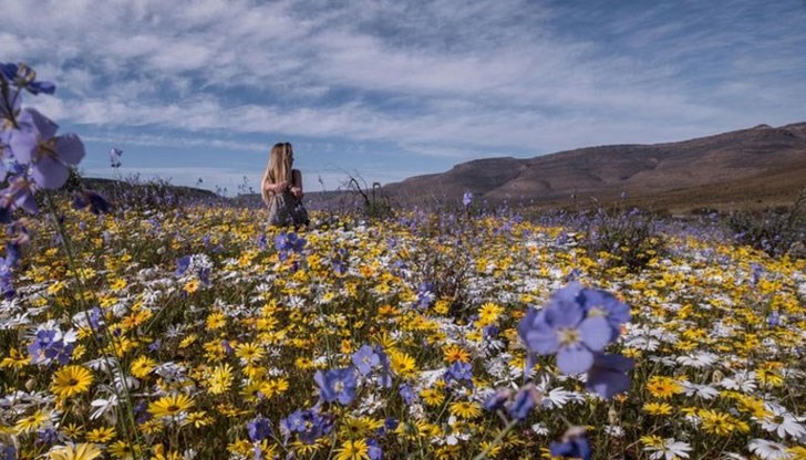 Беше сюрреалистична гледка, споделя фотографът заснел явлението