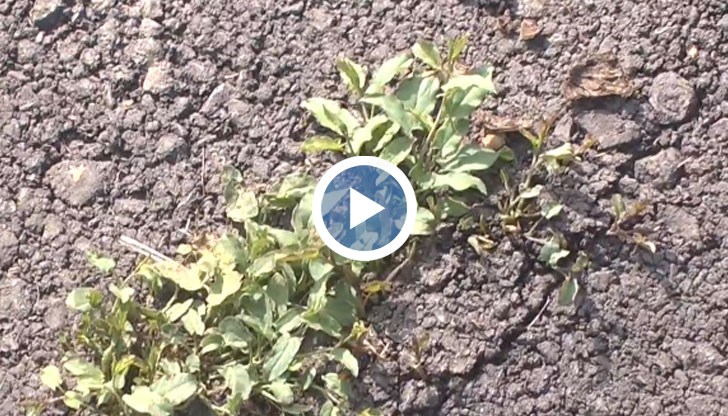 Тревата в Русе вади на показ качеството на ремонтите в града