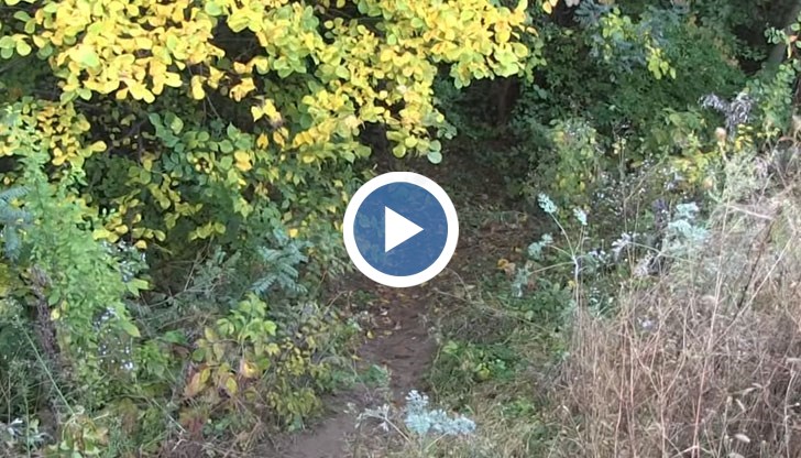 Кадри от лобното място на Виктория Маринова