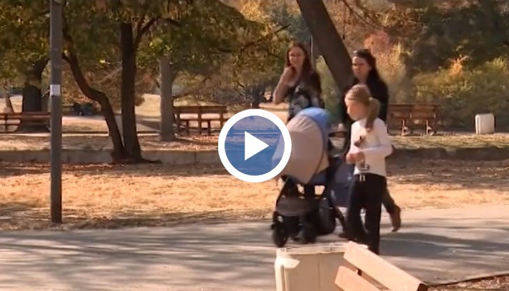 Работодателите искат годишния отпуск по време на майчинство да бъде премахнат, синдикатите – да остане