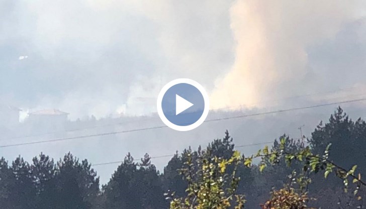 Огънят е напълно овладян