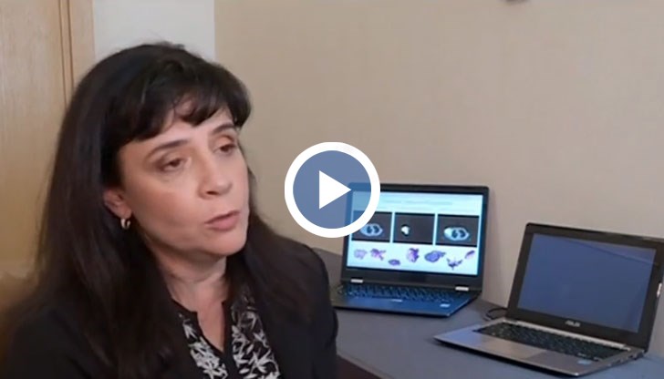 Проектът „Максима” е спечелил европейско финансиране сред над 500 други кандидати