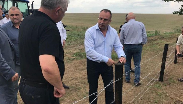Прасето се е заплело в телената ограда на границата с Румъния