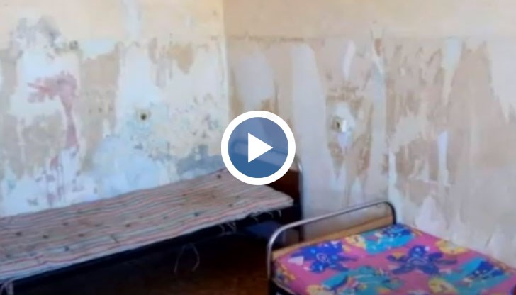 Те са принудени да живеят сред мухъл, мръсотия и дървеници