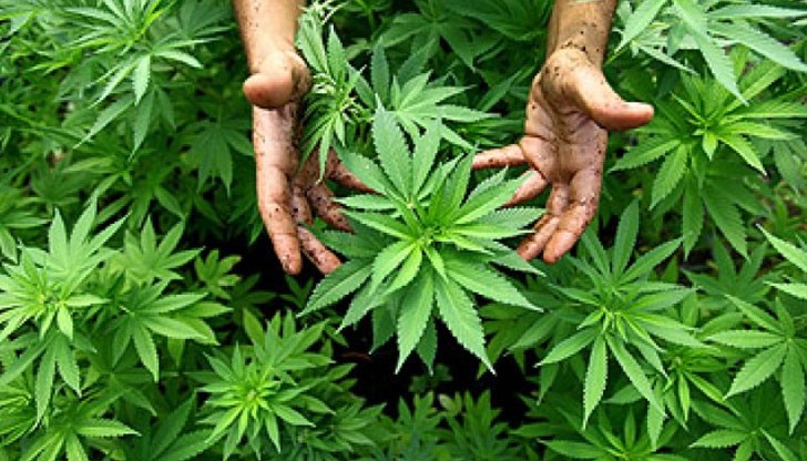 Обитателите на адреса - мъж на 34 и жена на 32 години, са задържани с полицейска мярка за срок до 24 часа Обитателите на адреса - мъж на 34 и жена на 32 години, са задържани с полицейска мярка за срок до 24 часа