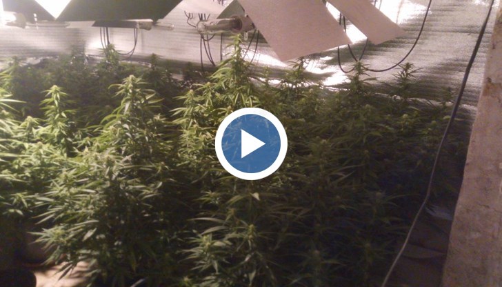 Действията на криминалистите са под надзора на прокуратурата