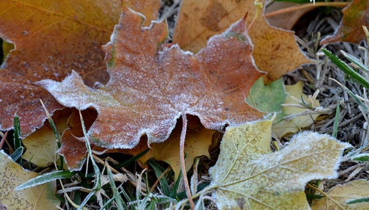 Циганското лято тази година ще е 2-3 дни Циганското лято тази година ще е 2-3 дни