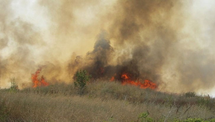 Девет екипа пожарникари са насочени към мястото