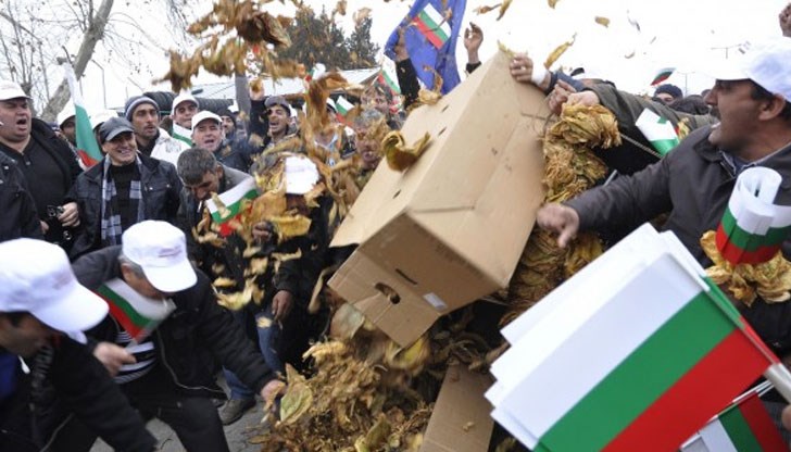 Производителите заплашват с масово отказване от гледането на тютюн от следващата година Производителите заплашват с масово отказване от гледането на тютюн от следващата година