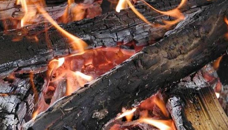 Най-полезна е пепелта от лозовите пръчки, бора, дъба и върбата Най-полезна е пепелта от лозовите пръчки, бора, дъба и върбата