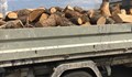 Хванаха мъж от Ветово да "бере" дърва за огрев