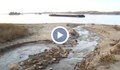 Замърсяване на река Дунав край Русе