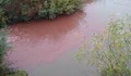 Замърсяване на река Русенски Лом