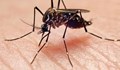 Компанията майка на Google започва глобална война с комарите
