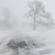 Сняг и поледици в Северна България