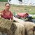 Агенцията по храните откри организирана престъпност в овцеферма