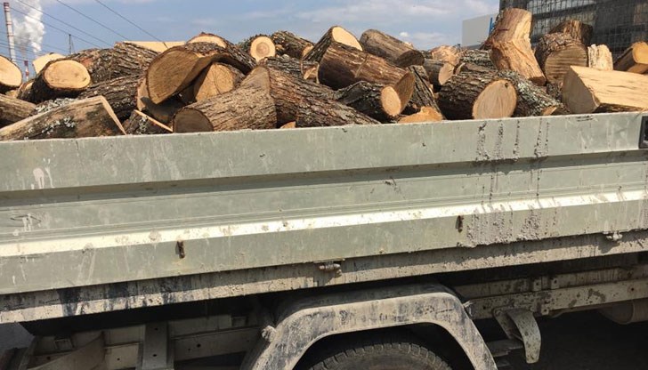 Апашът извозвал дървата от горския фонд с товарен автомобил „Фиат“