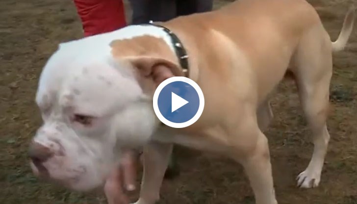 Иво Панов споделя неговата версия за инцидента