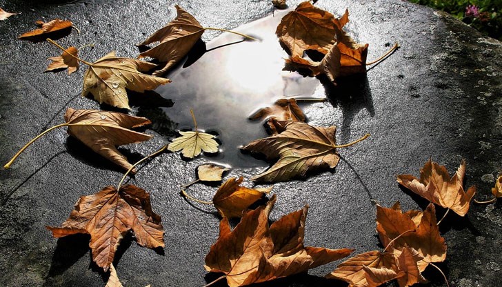 Прогноза за времето на 15 ноември Прогноза за времето на 15 ноември