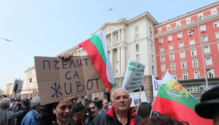 Стопаните настояват за директни плащания на пчелно семейство и за субсидии за опрашването Стопаните настояват за директни плащания на пчелно семейство и за субсидии за опрашването