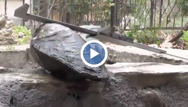 Еколози ще изследват находката