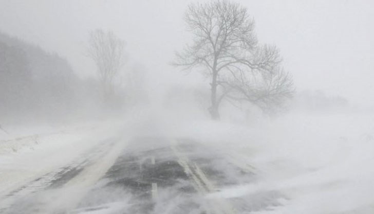 В Североизточна България очакваме бурни ветрове със скорост до 70-80 километра в час В Североизточна България очакваме бурни ветрове със скорост до 70-80 километра в час