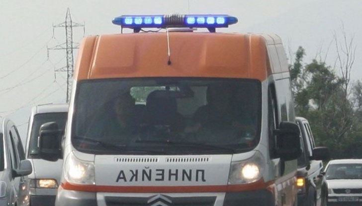 Товарен автомобил се заби челно в дърво