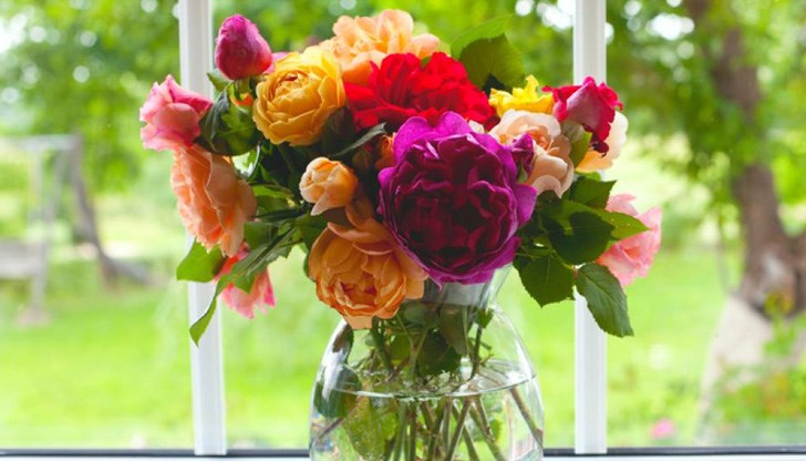 Вижте кое цвете сте според датата на раждане