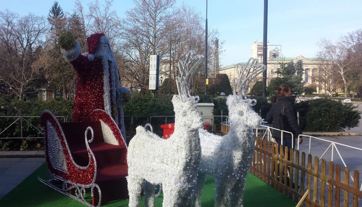 Във вторник грейва коледната елха в Русе Във вторник грейва коледната елха в Русе