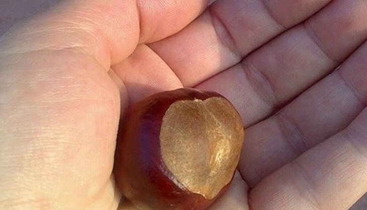 В този ден всяко лошо дело засяга целия род