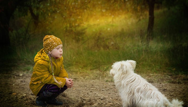 Тези хора понякога си патят от наивността и добротата си Тези хора понякога си патят от наивността и добротата си