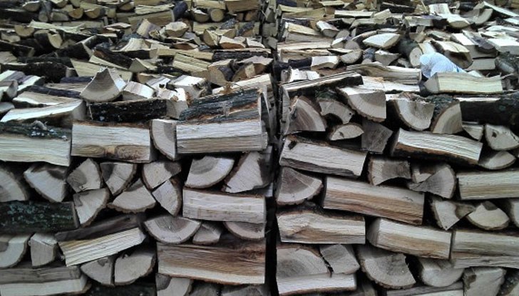 Освен това свободният добив на дърва в гората ще трябва да се ограничи само до месеците юни и юли