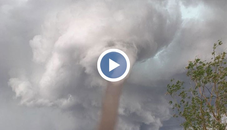 Вихърът изкорени дървета и нанесе щети по сгради