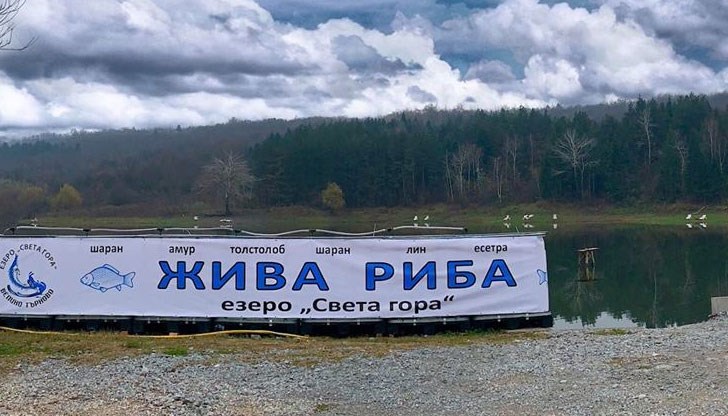 За любителите на рибни ястия се предлагат видове, уловени от езерото – шаран, толстолоб, лин, амур, белуга и руска есетра